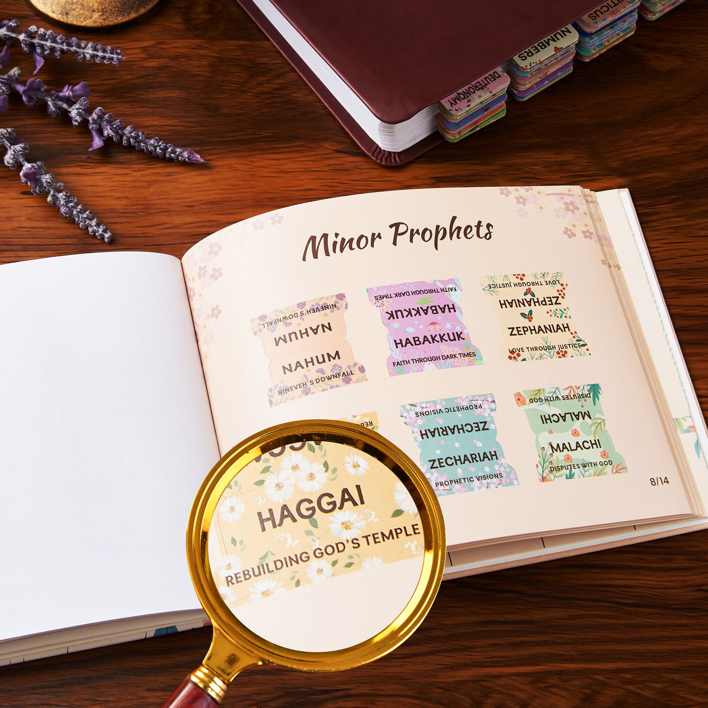 Floral Bible Tabs for Women, Bible Index Tabs Booklet, 66 Tabs with Chapter Titles and Summaries, Alignment Guide, Petal Beauty Tabs, Waterproof Laminated Bible Study Gifts Supplies