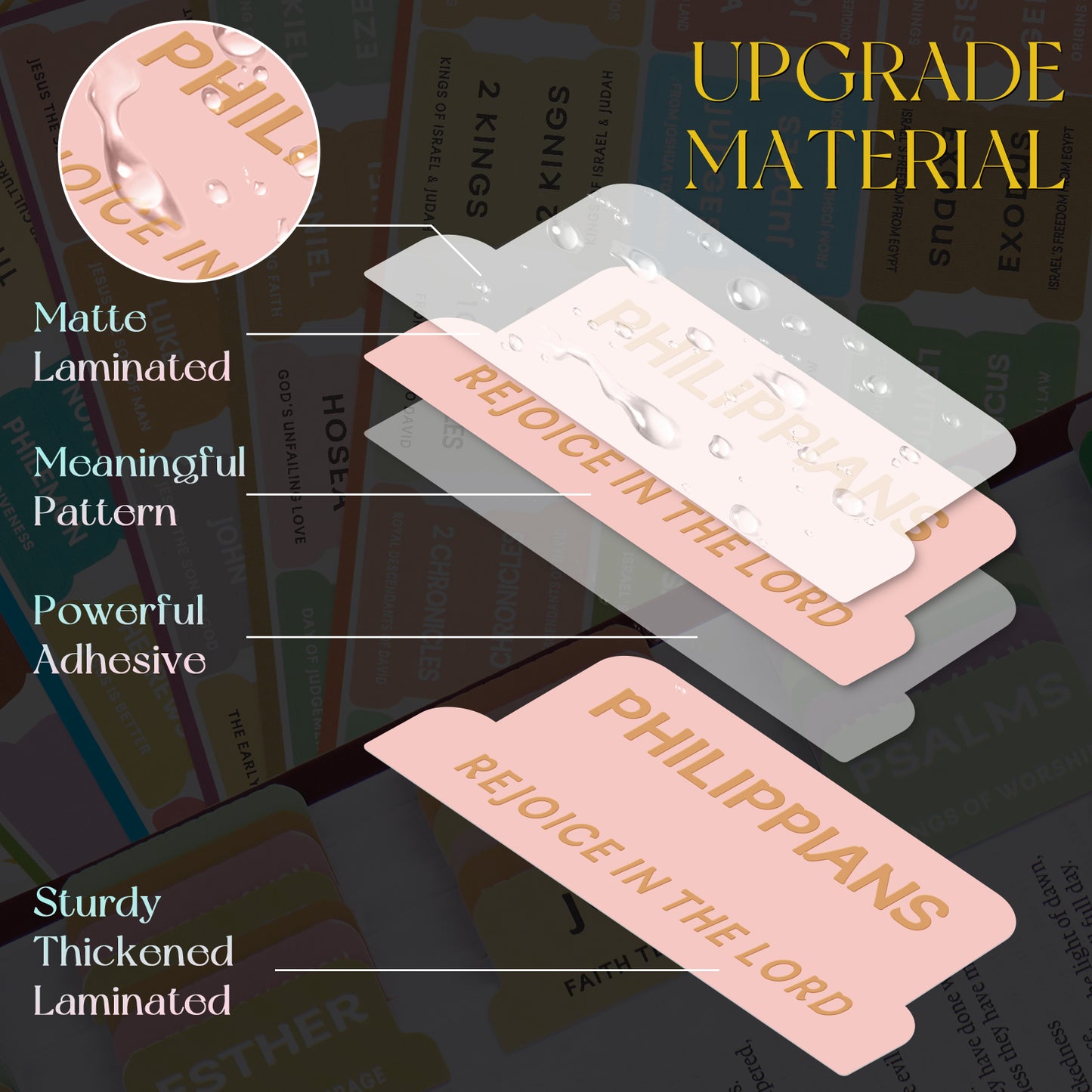 Light Peach Pink Gold Foil Lettering Bible Tabs, Bible Index Tabs with Gilded Cover,75 Tabs Bible Study Supplies,Tabs with Chapter Titles and Summaries,Waterproof Laminated Tabs (Light Peach Pink)