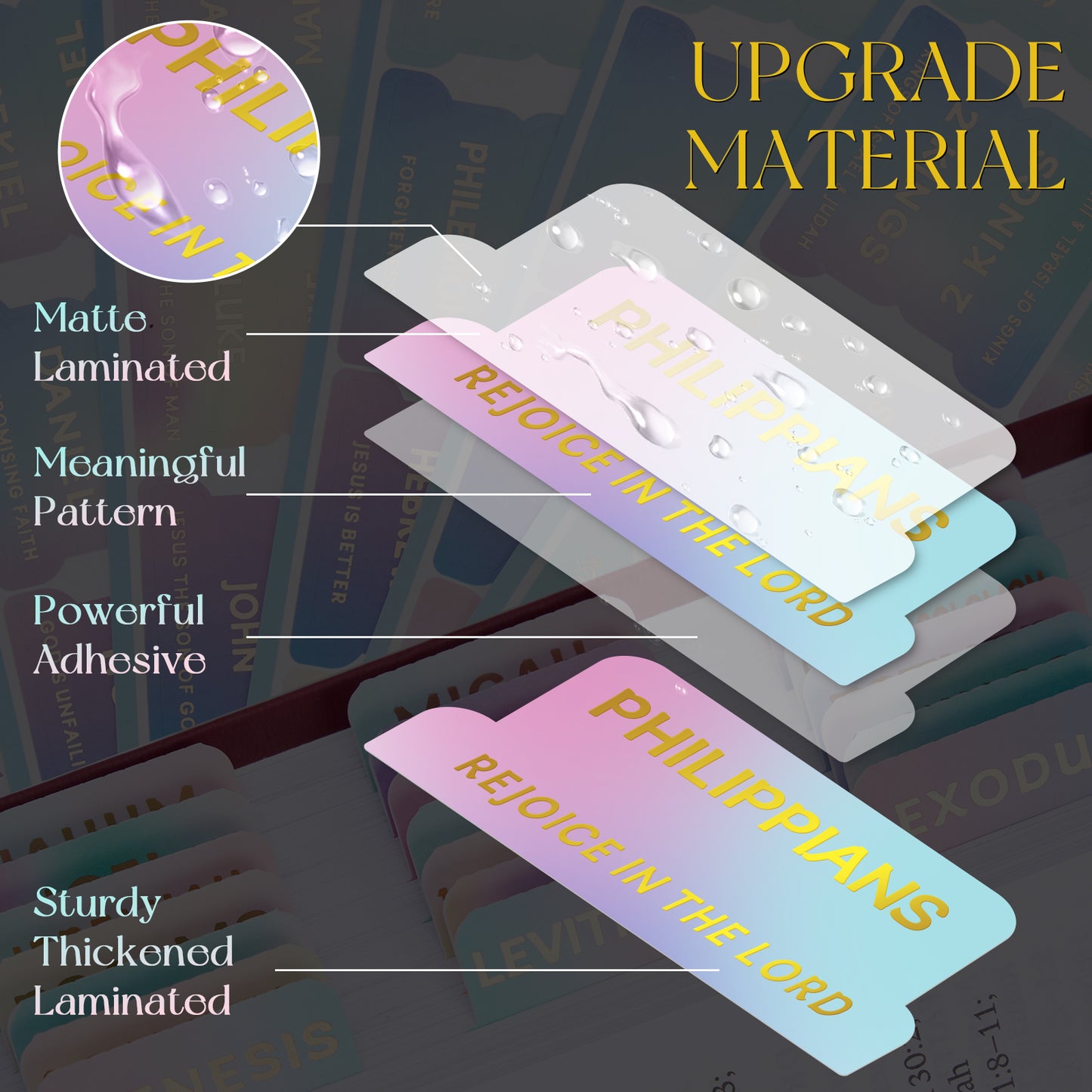 Rainbow Gold Foil Lettering Bible Tabs,Gradient Color Bible Index Tabs with Gilded Cover,75 Tabs Bible Study Supplies,Tabs with Chapter Titles and Summaries,Waterproof Laminated Tabs (Rainbow)