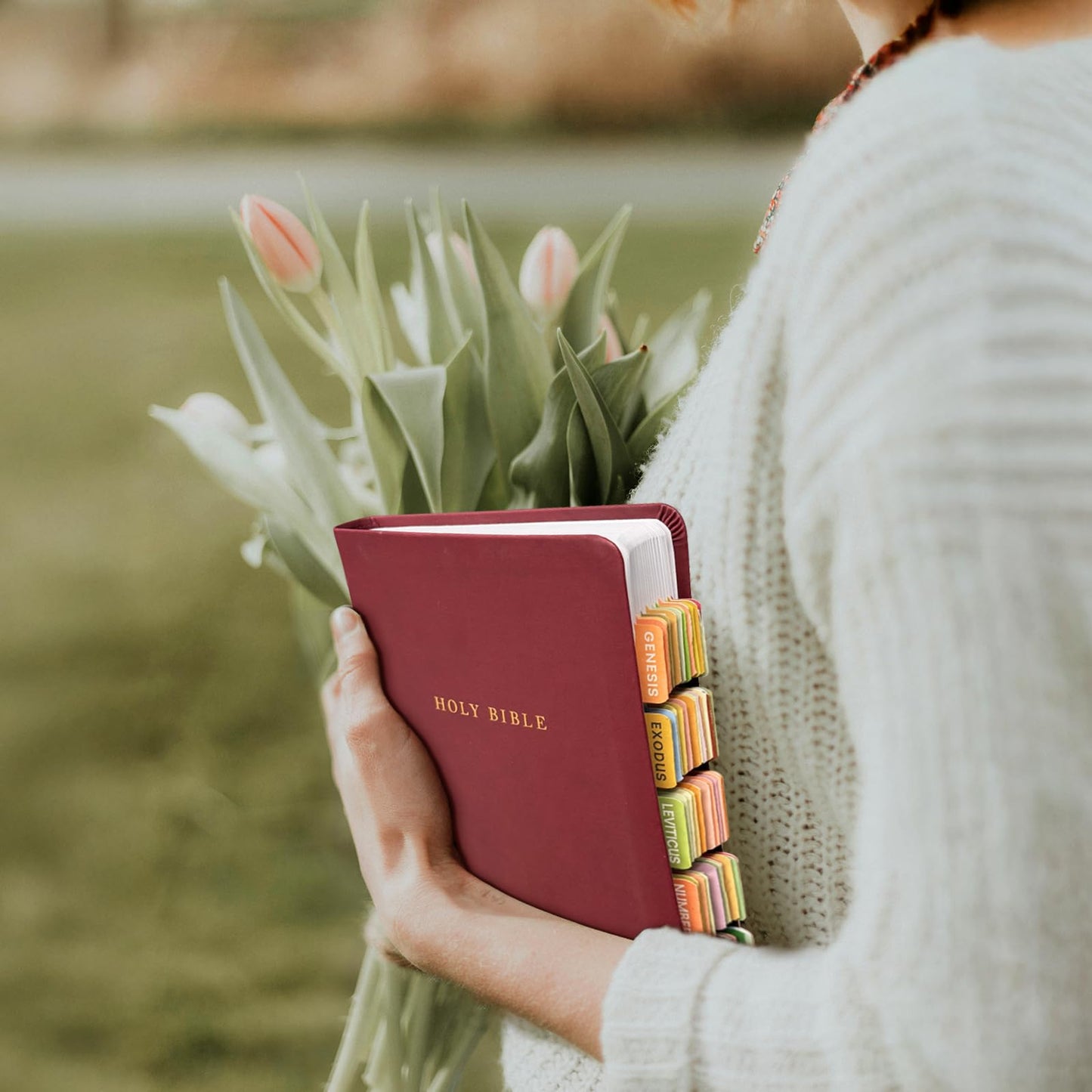 XQUESTION Bible Tabs with Delicate Cover, 75 Tabs with Chapter Titles and Summaries, Christian-Themed Stickers,Waterproof Laminated Bible Tabs,Bible Index Tabs,Bible Study Supplies(A-Boho)